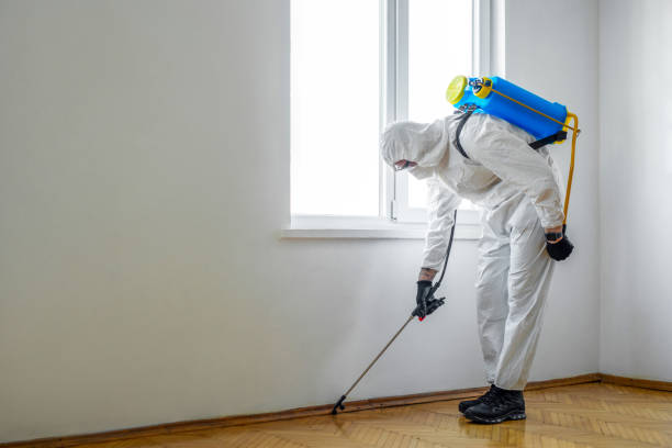Best Exterminator Services  in Butte, MT