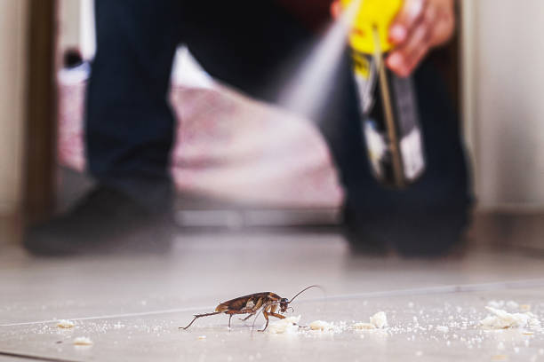 Best Best Pest Control Companies  in Butte, MT