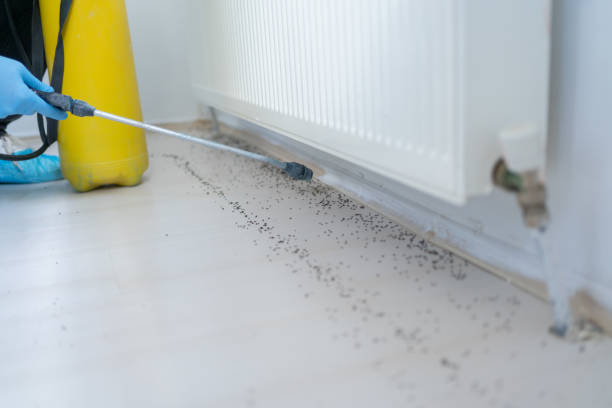Best Commercial Pest Control Services  in Butte, MT